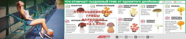 ALPHA-PVP Алексеевка