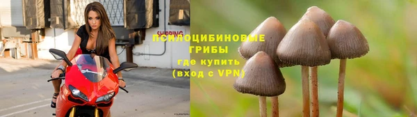 mdpv Абдулино