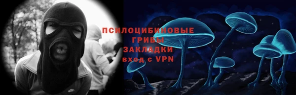 хмурый Алзамай