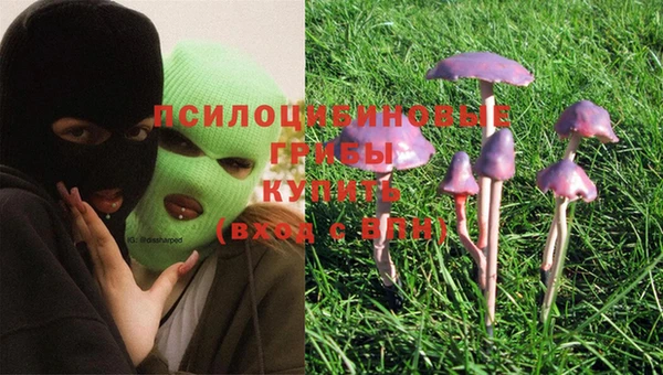 хмурый Алзамай