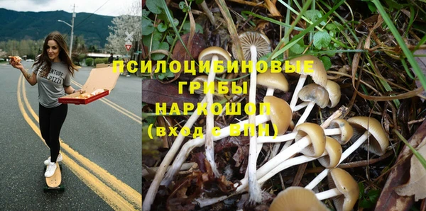 наркотики Алексин