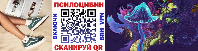 Псилоцибиновые грибы Psilocybe  где купить наркоту  Динская 